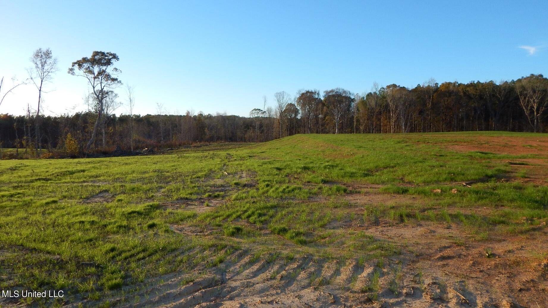 Calhoun City, MS 38916,2 County Road 309