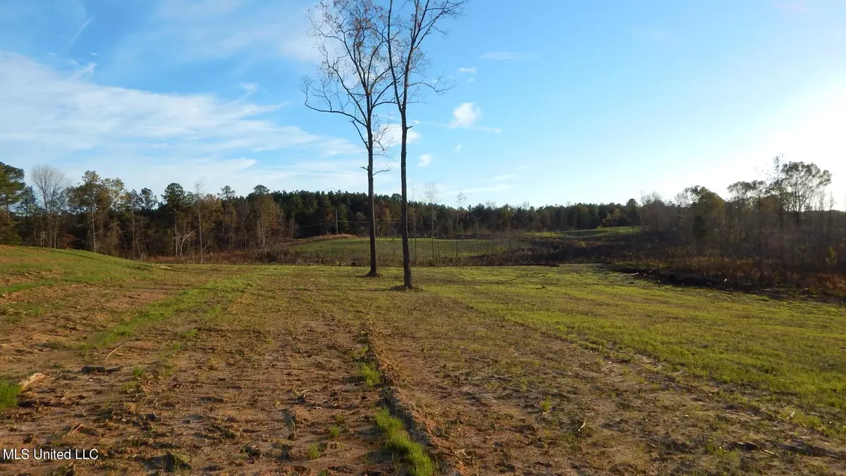 Calhoun City, MS 38916,6 County Road 309