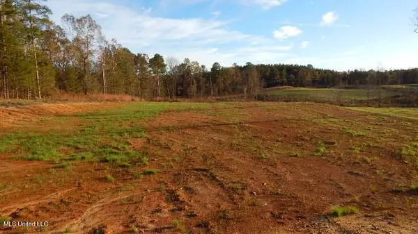 Calhoun City, MS 38916,6 County Road 309