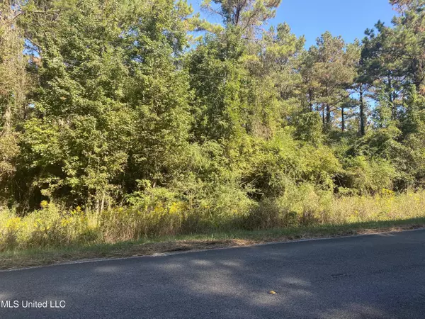 Bogue Chitto, MS 39629,0 SW Auburn Drive