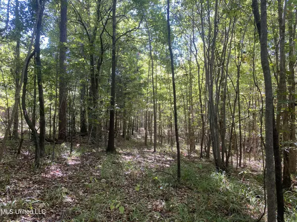 Eupora, MS 39744,Off Of Hwy 404