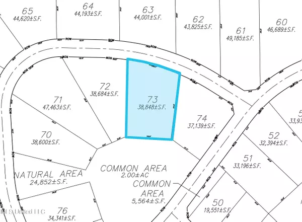 Lot 73 Les Maisons, Flowood, MS 39232