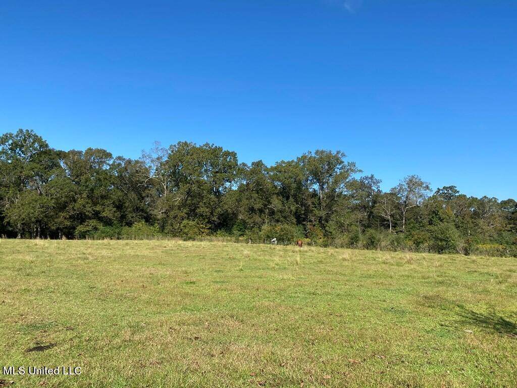 Poplarville, MS 39470,260 N Mitchel Chappel Road