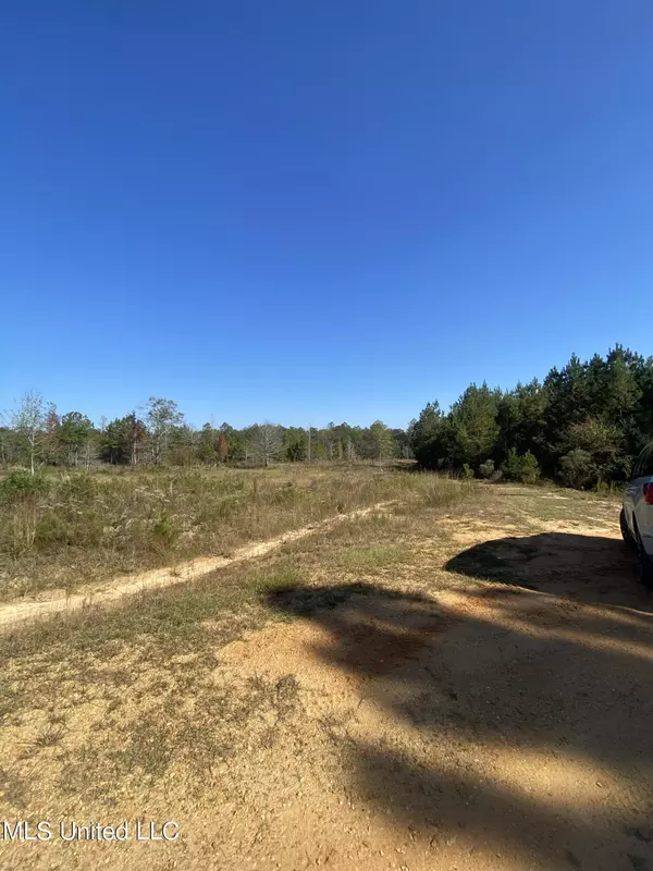 Perkinston, MS 39573,0 Old Dirt Road