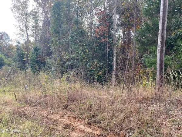 Lake, MS 39092,Zion Church Rd Road