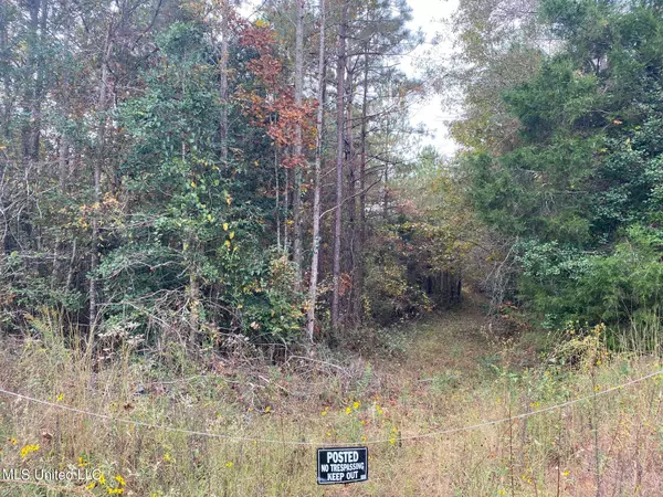 Lake, MS 39092,Zion Church Rd Road