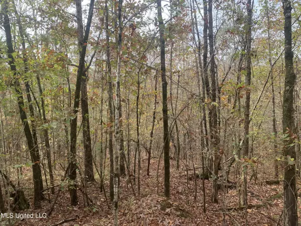 Gore Springs, MS 38929,Eddie Willis Drive