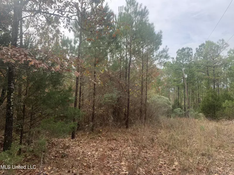 Eddie Willis Drive, Gore Springs, MS 38929