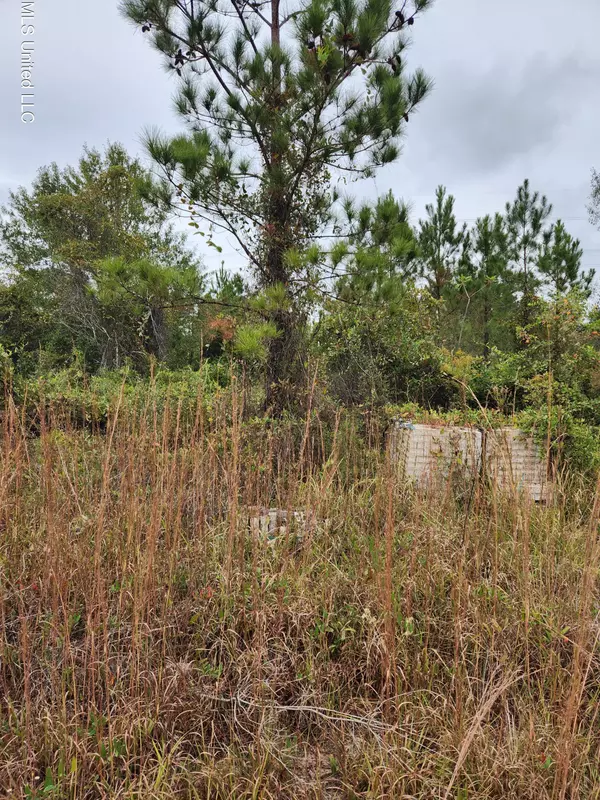 Saucier, MS 39574,Skinner Court