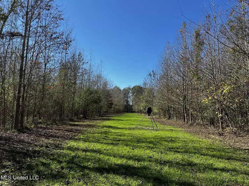 Co Rd 4167, Sallis, MS 39160