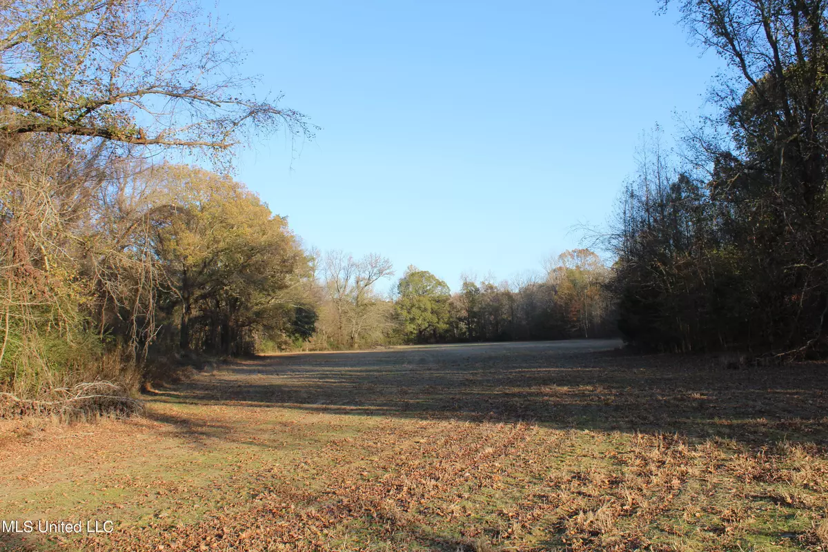 Byhalia, MS 38611,5 Levi Bell Road