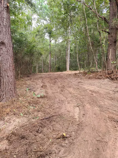 0 Lakeshore Dr., Lumberton, MS 39455