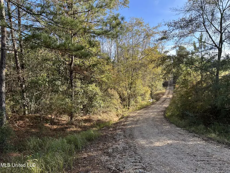 Sandy Hill Road, Lumberton, MS 39455