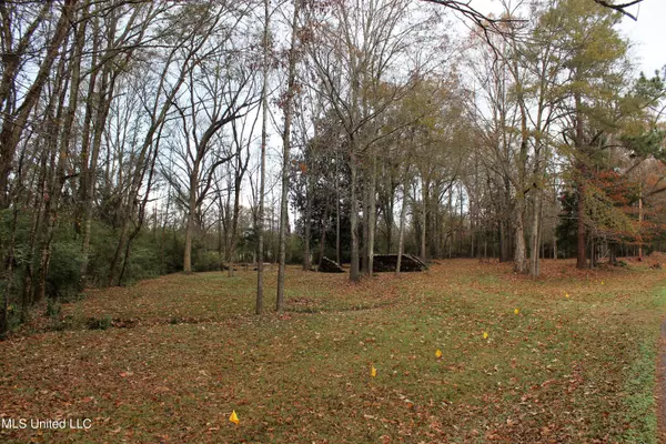 Learned, MS 39154,0 Learned Road