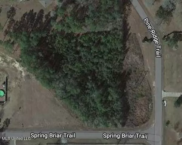 Saucier, MS 39574,Spring Briar Trail