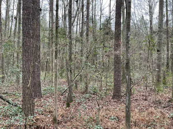 Lake, MS 39092,0 Johnson Town Road