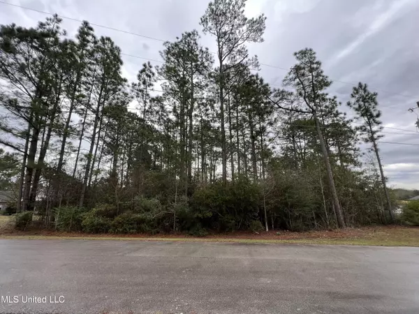 Deer Drive, Saucier, MS 39574