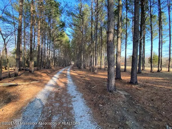 Michigan City, MS 38647,237 Curtis Road