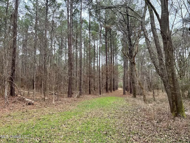 Spring Creek Rd, Flora, MS 39071