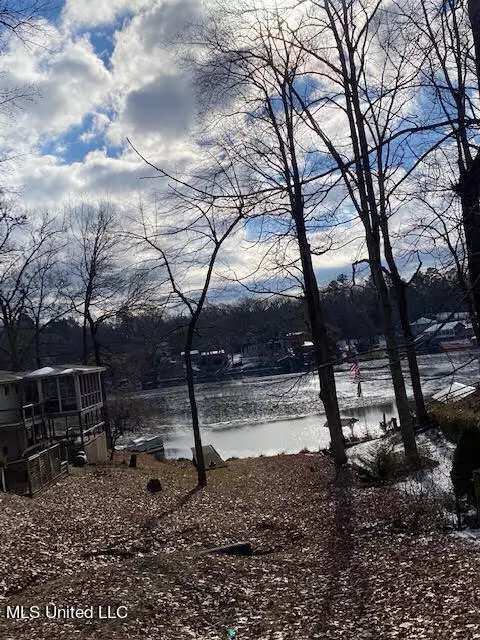 Ashland, MS 38603,2244 Snow Lake Drive