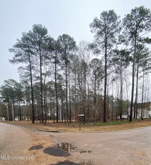 Flowood, MS 39232,Wild Horse Way