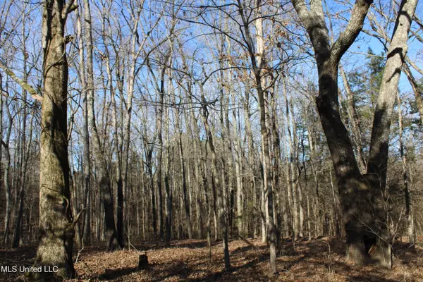 Red Banks, MS 38661,700 Rabbit Ridge Road