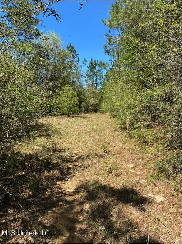 Perkinston, MS 39573,0 Diamond Radar