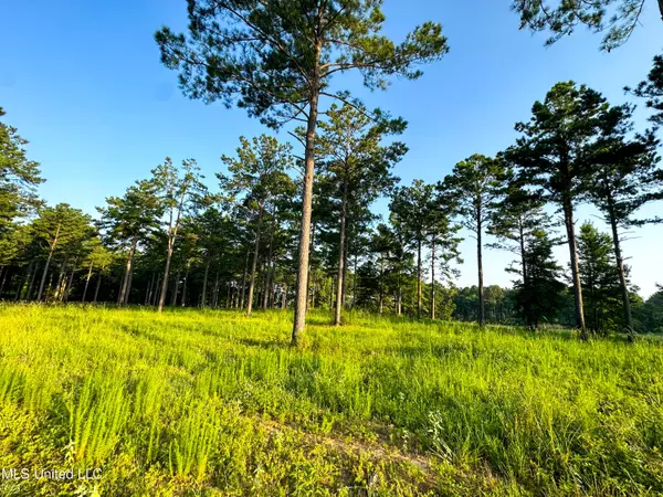 Flora, MS 39071,Lot 1 Hidden Pines Lane