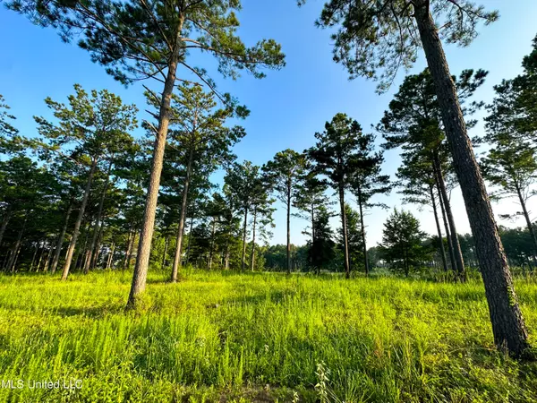 Flora, MS 39071,Lot 1 Hidden Pines Lane