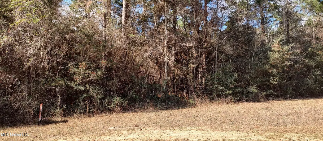 Walker Street, Lumberton, MS 39455