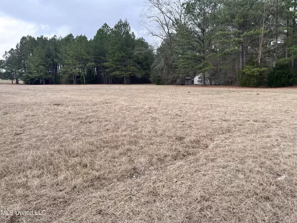 Union, MS 39365,E Jackson Road