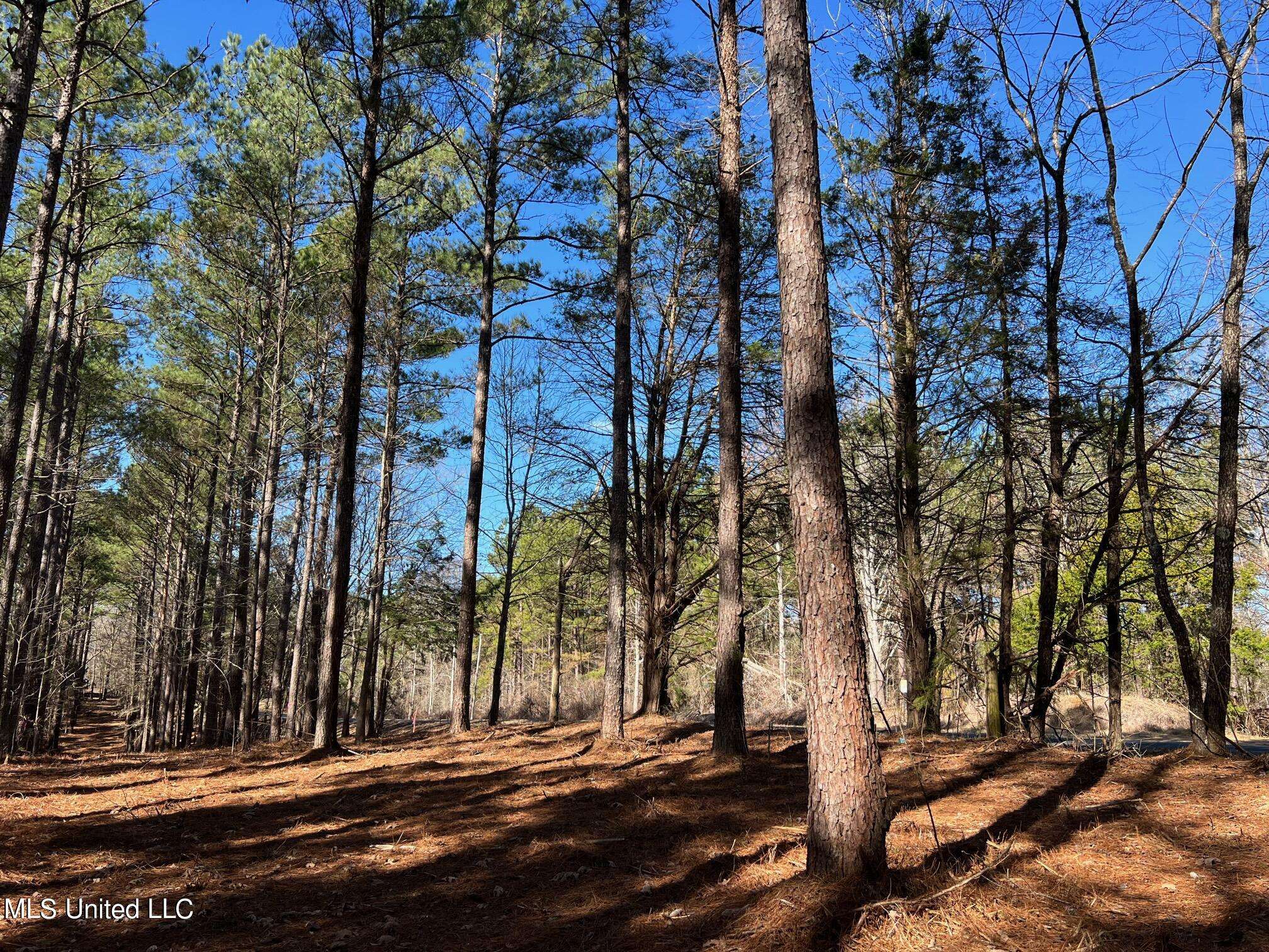 Flora, MS 39071,Spring Creek