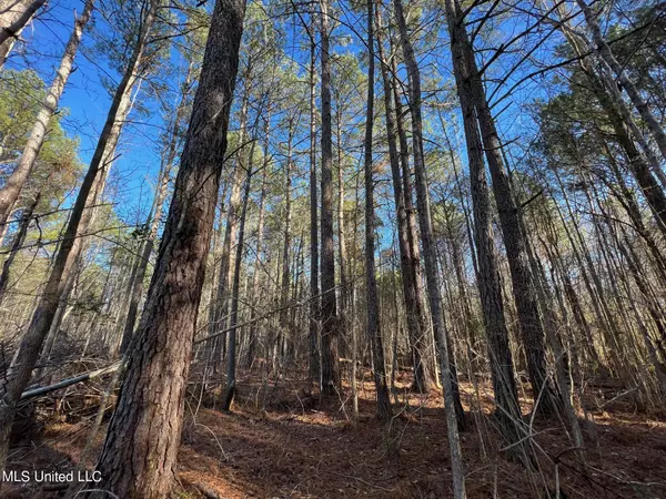 Camden, MS 39045,Camden Rd