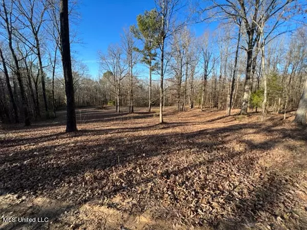 Ashland, MS 38603,122 Jonathan Lane