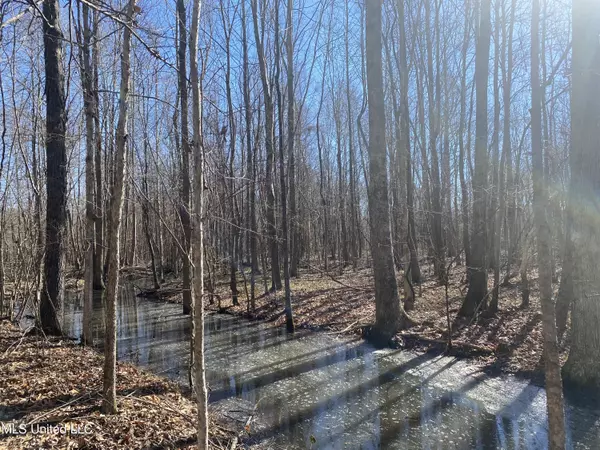 Etta, MS 38627,Off County Road 243