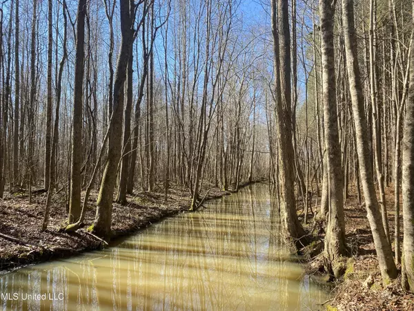 Etta, MS 38627,Off County Road 243