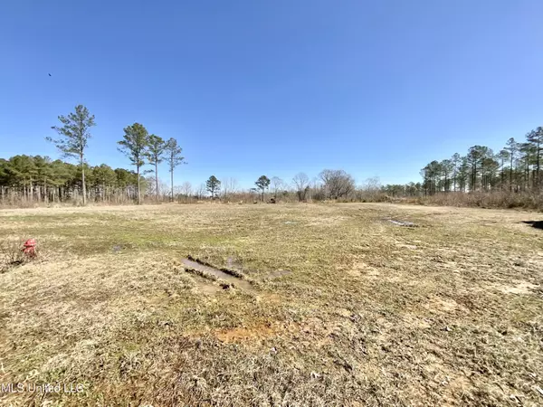 Gambrell Street, Taylorsville, MS 39168