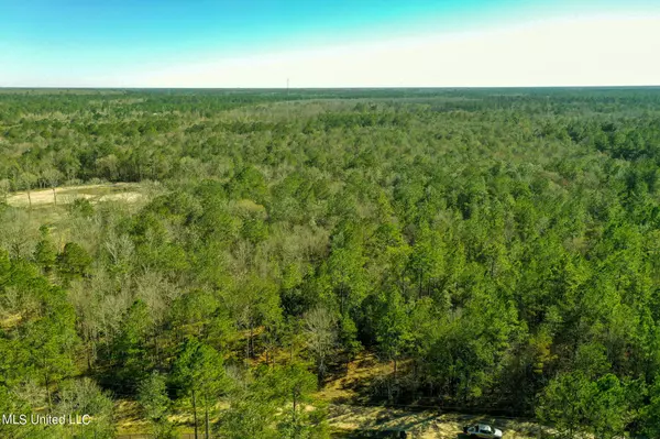 Picayune, MS 39466,0 Lazy Oak Lane