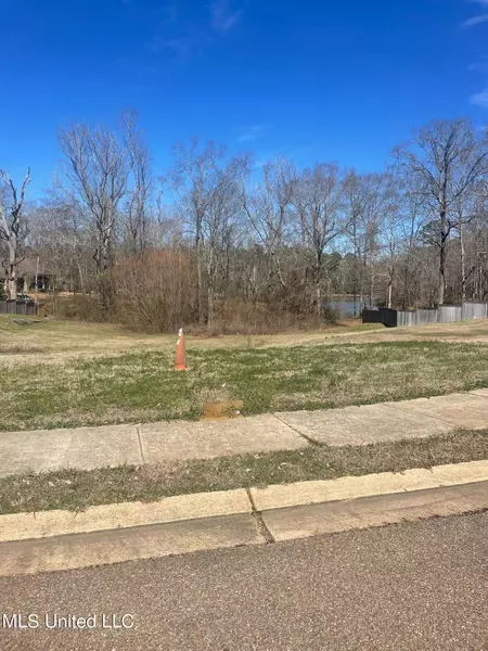 Julee Circle, Brandon, MS 39042