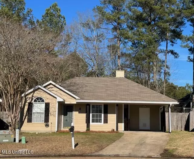 Brandon, MS 39047,391 Audubon Circle