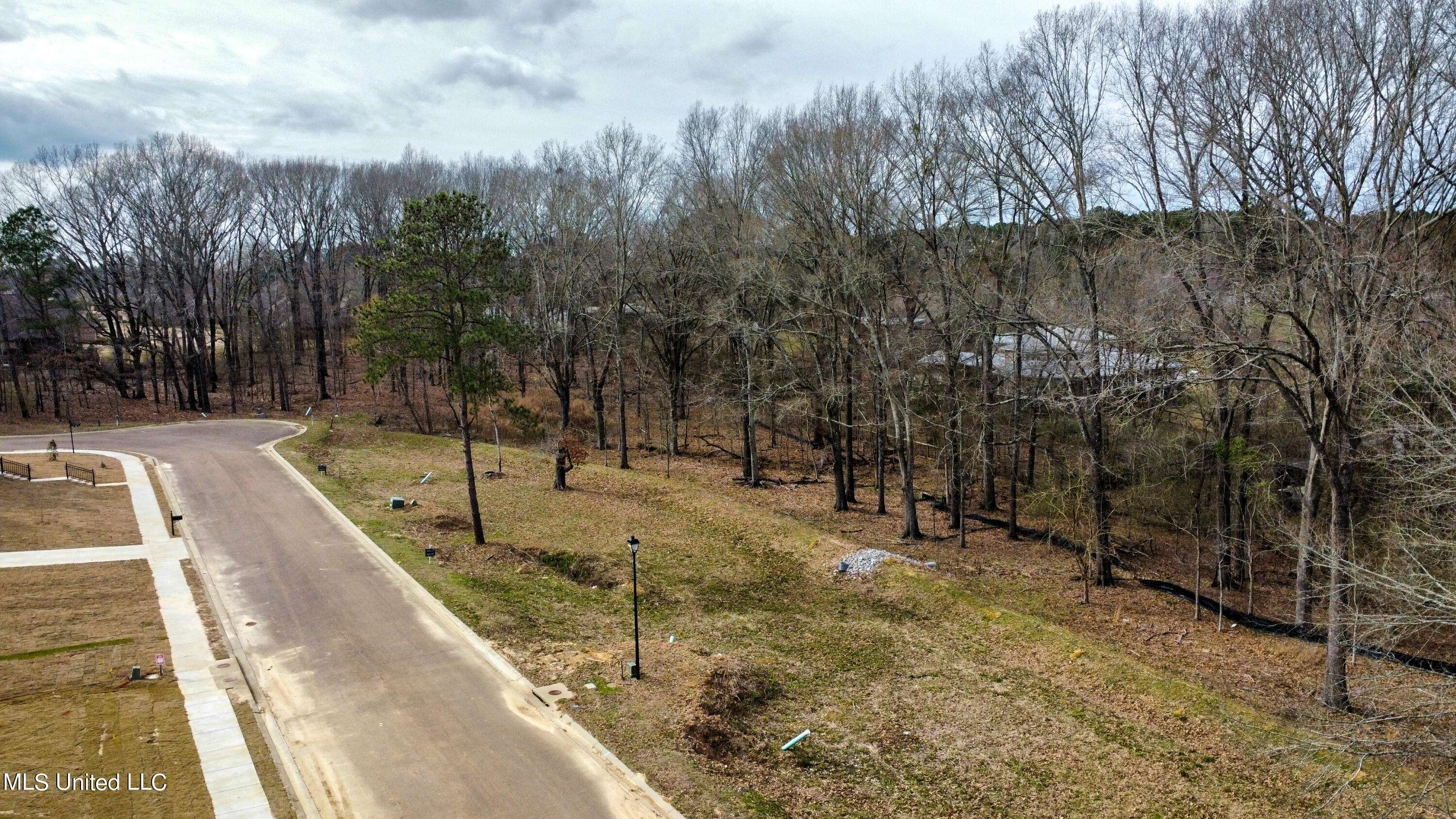 Clinton, MS 39056,110 Belle Fleur Lane