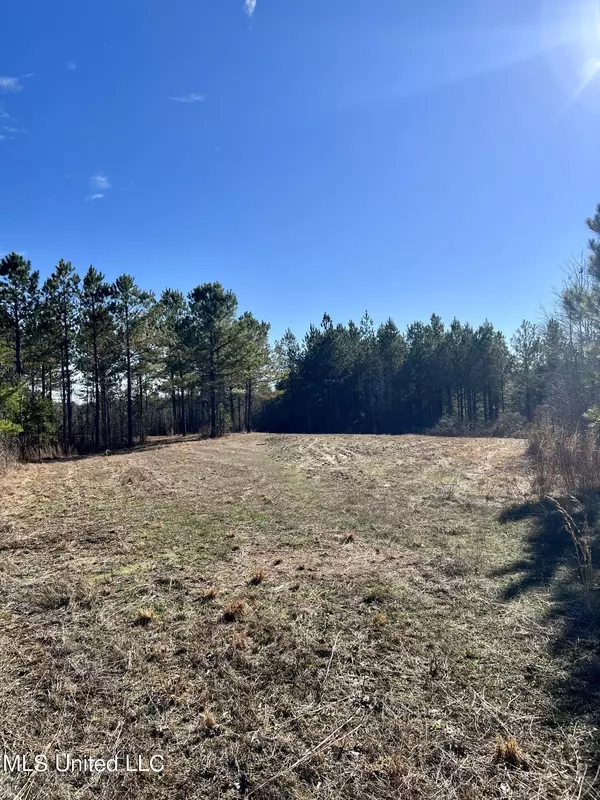 Durant, MS 39063,0 Franklin Road