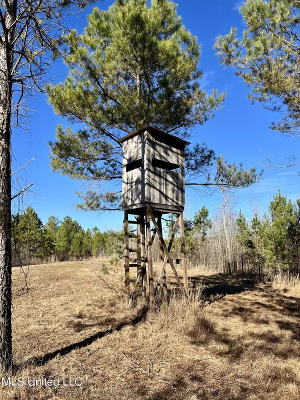 Durant, MS 39063,0 Franklin Road