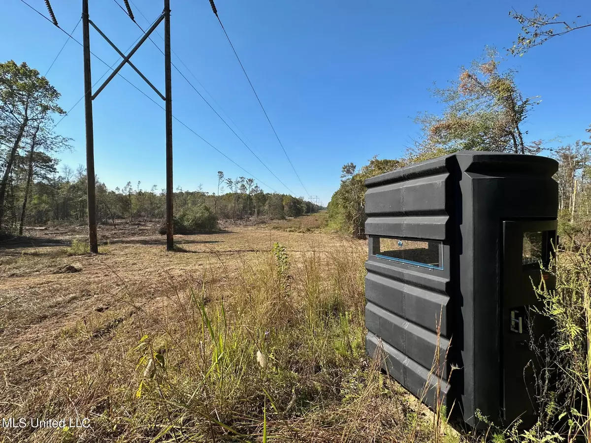 Sallis, MS 39160,County Road 4101