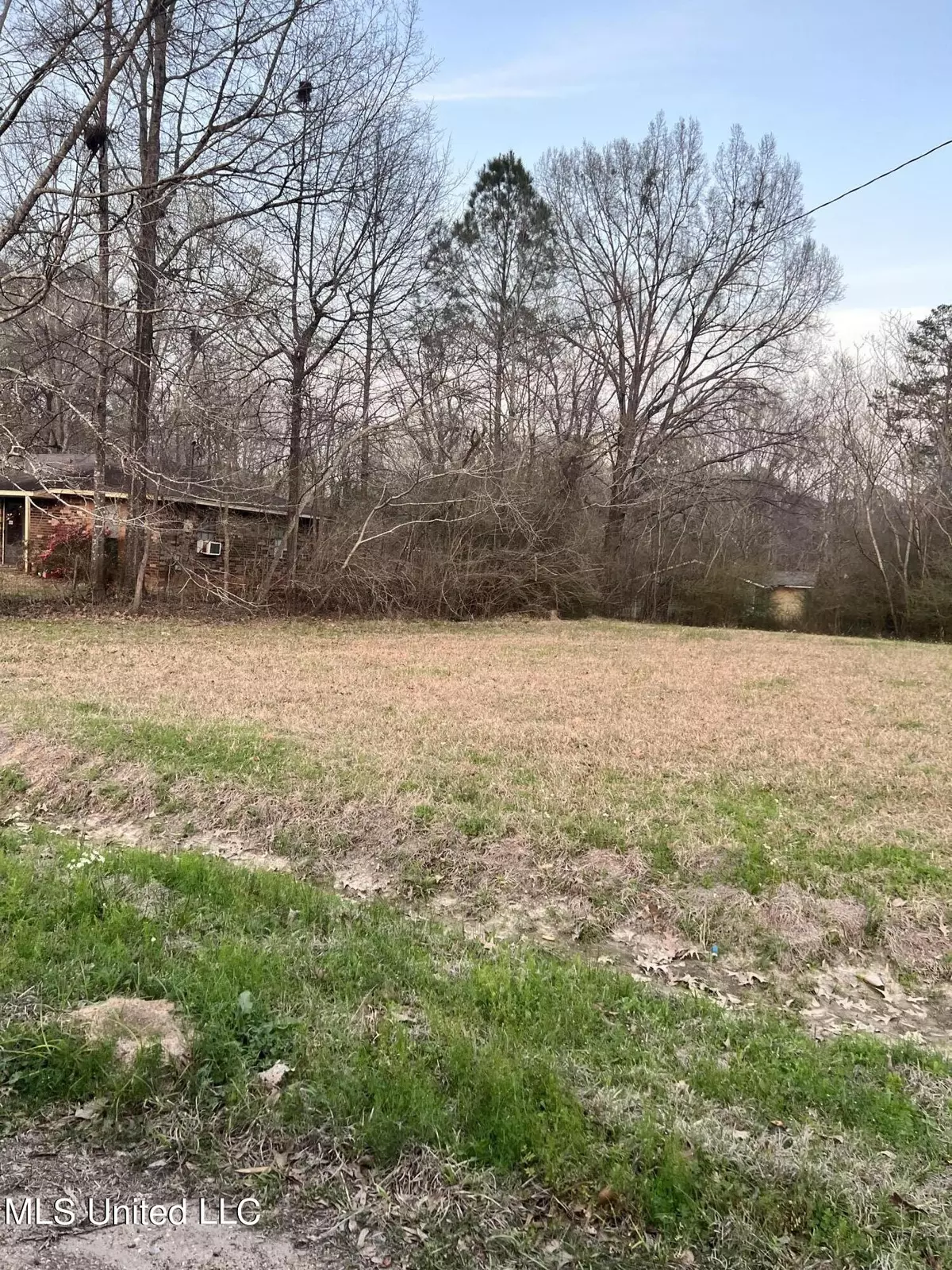 Pearl, MS 39208,Sweetgum Street