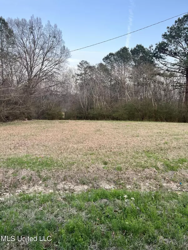 Pearl, MS 39208,Sweetgum Street