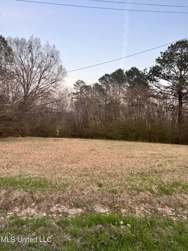 Pearl, MS 39208,Sweetgum Street