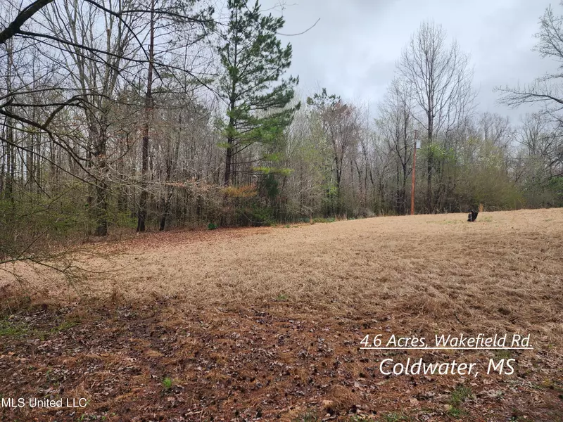 4 Wakefield Road, Coldwater, MS 38618