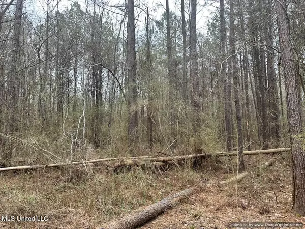 Braxton, MS 39044,463 N Star Road