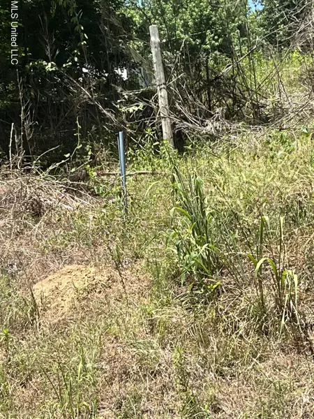 Magnolia Circle, Sarah, MS 38665